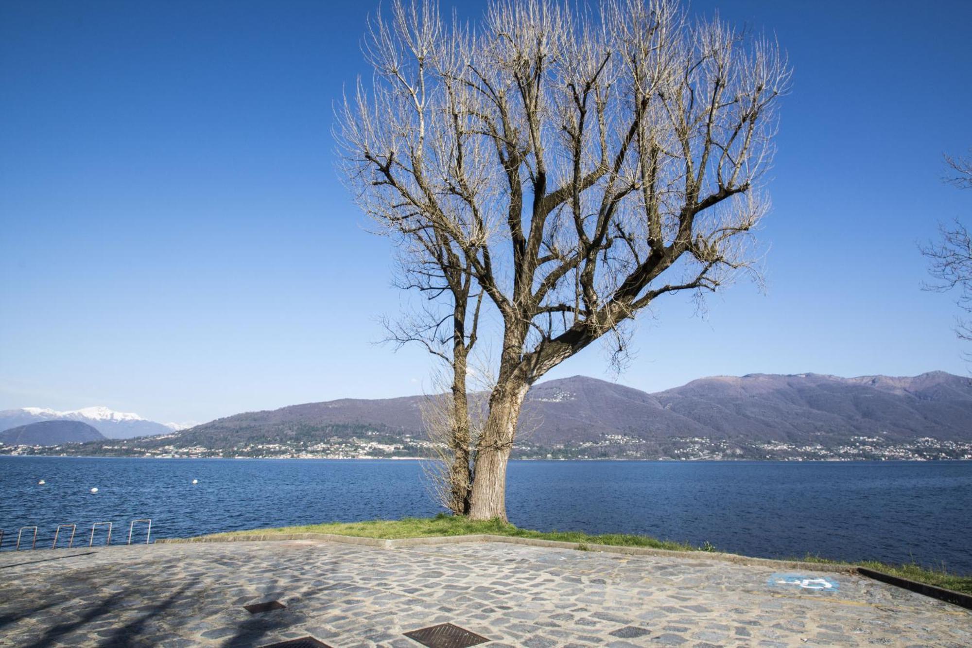 Appartamento Casa Lea Castelveccana Esterno foto